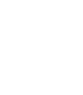 Ambassador pricing